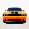 The Muscle Car Quiz