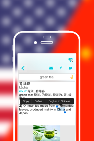 Offline Chinese to English Language Dictionary, Translator - 中国词典 - 译者 screenshot 4