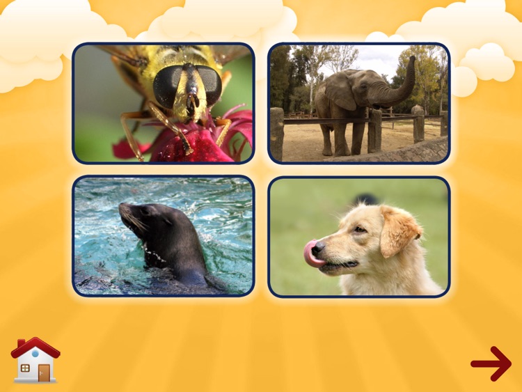 Rara App screenshot-3