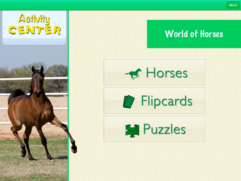 Activity Center: World of Horses screenshot 2