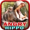 Angry Hippo