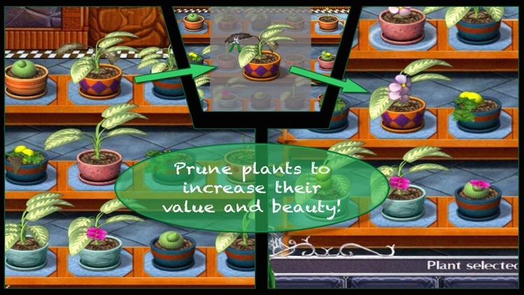 Plant Tycoon®