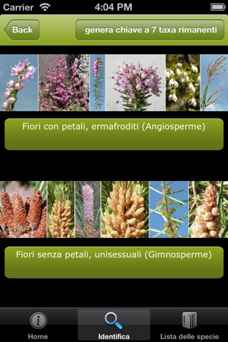 Guida alle piante del Giardino Botanico di Valbonella screenshot 3