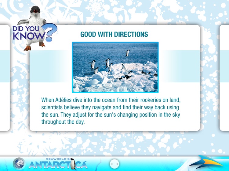 SeaWorld's Antarctica for iPad screenshot-3