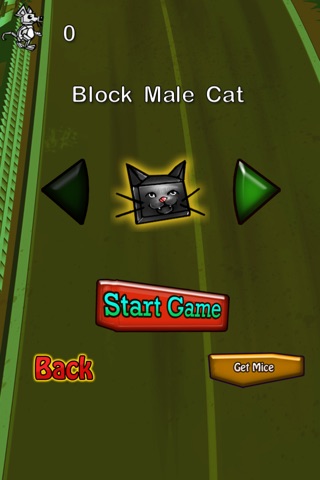 Crazy Block Cat Adventures screenshot 2