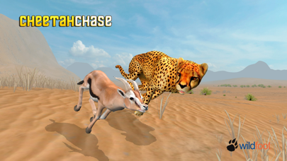 How to cancel & delete Cheetah Chase from iphone & ipad 1