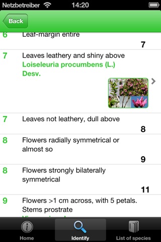 A guide to the woody plants of the Triglav National Park (Slovenia) screenshot 3