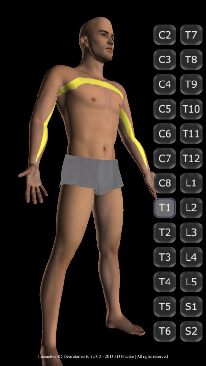 Interactive 3D Dermatomes