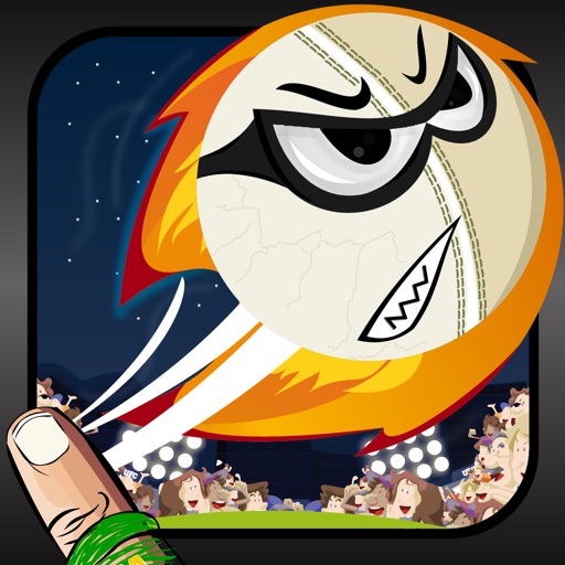 Flick Cricket HD icon