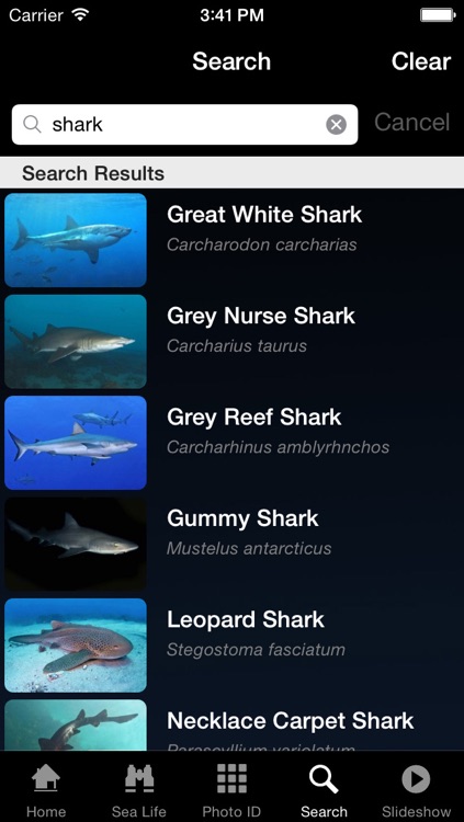 Sea Life Australia screenshot-3