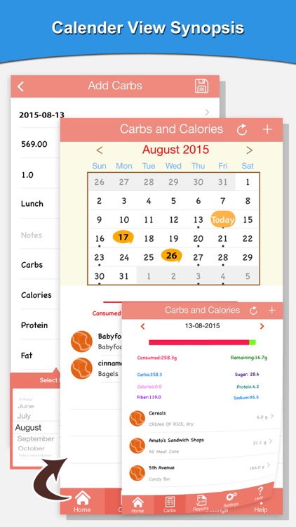 Carbs And Calorie Counter