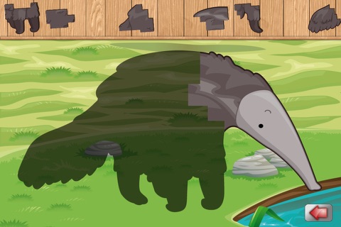Animals Around The Equator - Beautiful free puzzle game for toddlers and kids screenshot 3