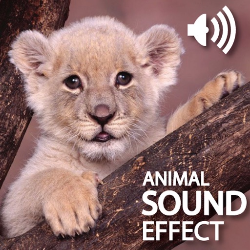 Amazing Sounds Effect icon