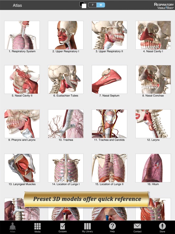 Respiratory Anatomy Atlas: Essential Reference for Students and Healthcare Professionalsのおすすめ画像2