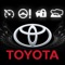 Toyota Indicator Light
