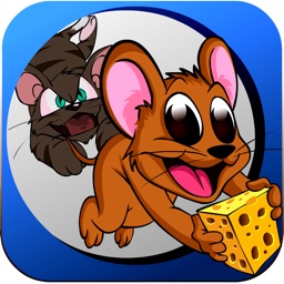 Mouse Chase - Top Best Free Endless Cat Race Escape Game