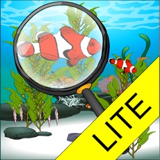 Activities of Find The Hidden Fish Lite