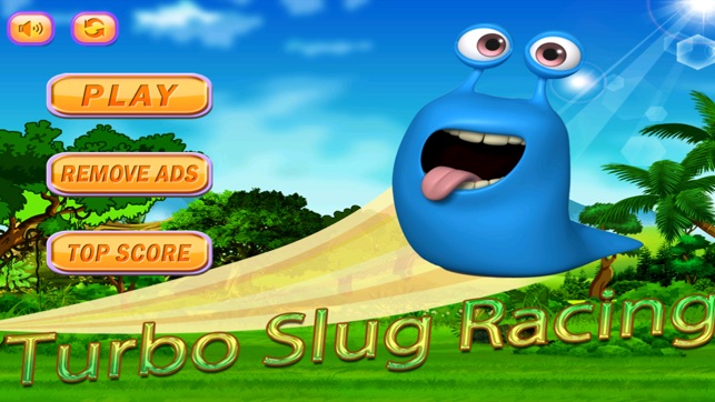 Turbo Slug Racing