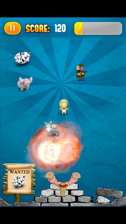 Animals Wanted