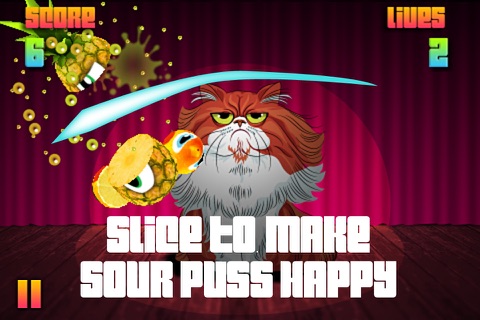Sour Puss - Cat Slicing Game screenshot 2
