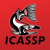 2013 IEEE International Conference on Acoustics, Speech and Signal Processing (ICASSP)