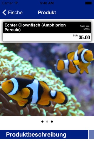 MeerFisch screenshot 2