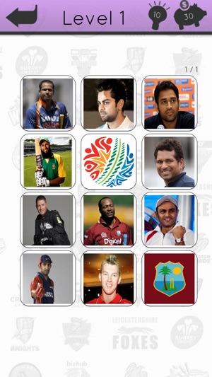 Cricket Icon Quiz