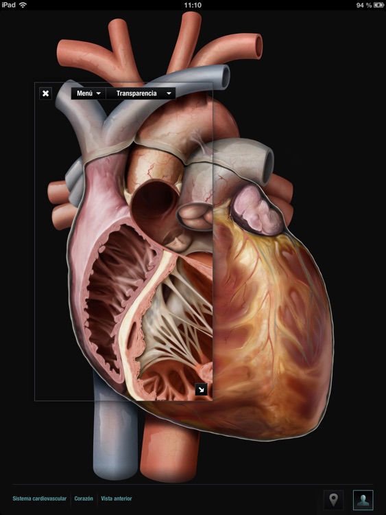El Cuerpo Humano Virtual screenshot-4