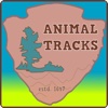 Pair Up - Animal Tracks