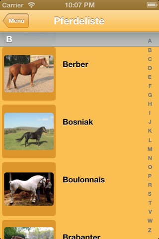 Horses screenshot 4