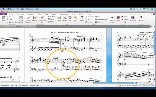 Course for Sibelius Piano Score Project(圖4)-速報App