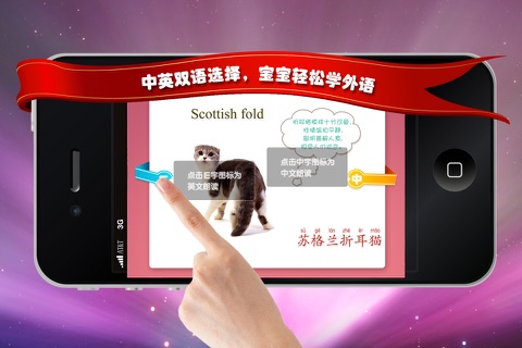 宝宝识猫咪 -- 幼儿识物闪卡 screenshot 3