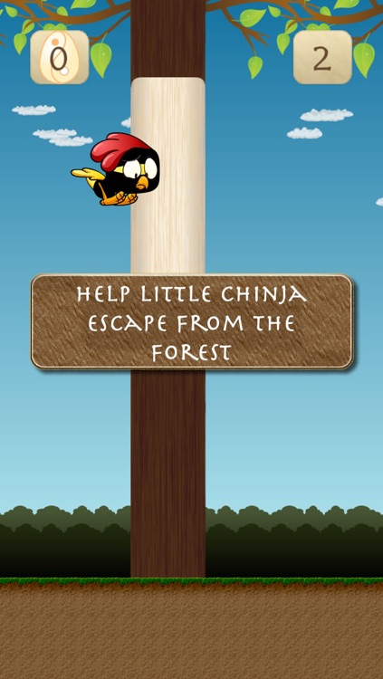 Little Chinja - Escape from the Ninja Forest