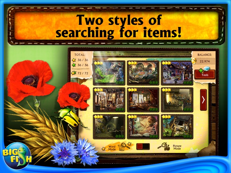 100% Hidden Objects