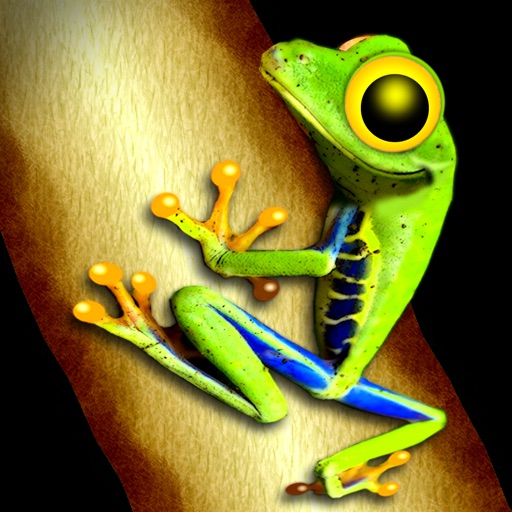 Toxic Frog icon