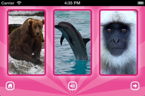 GRoink: fun puzzle game with animal sounds screenshot 4