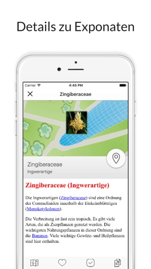 Botanischer Garten Graz(圖4)-速報App