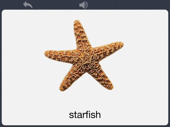 Baby Flash Cards - Encyclopedia 350