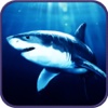 2016 Spearhead Hungry Shark Hunting - Deep sea underwater