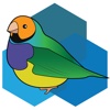 Finch Breeding App