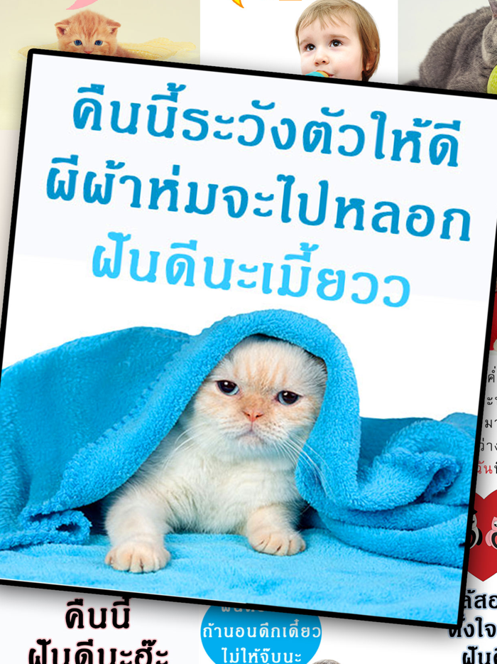 คำคมก่อนนอน ฝันดี ราตรีสวัสดิ์