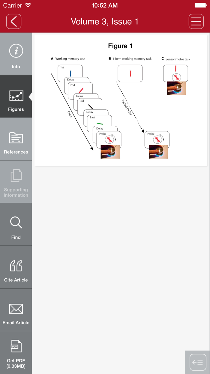 Movement Disorders Clinical Practice