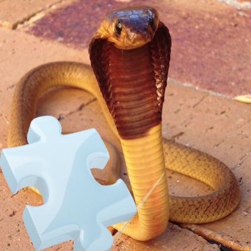 Snakes Great Puzzle icon