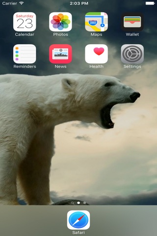 Bear Wallpapers Free screenshot 4
