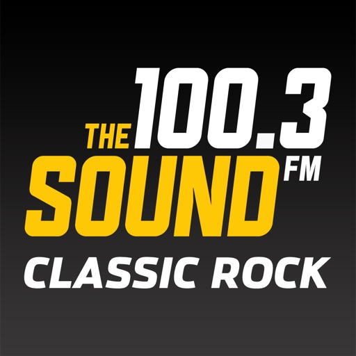 100.3 The Sound icon