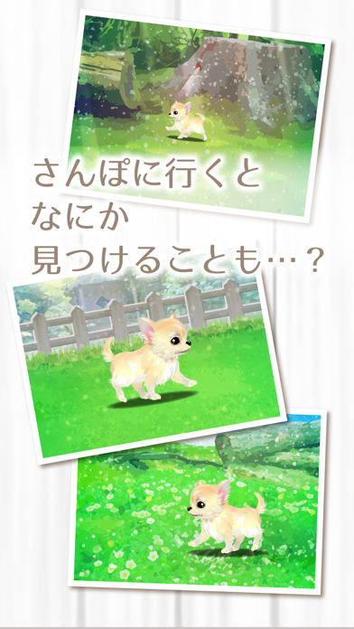 癒しの子犬育成ゲーム〜チワワ編〜（無料） screenshot1
