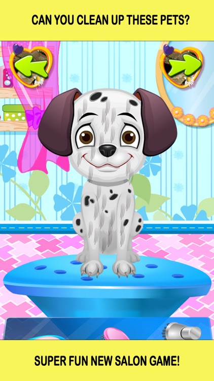 Baby Pet Hair Salon Makeover Girls Games