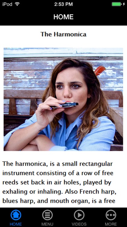 Let's Play Harmonica - Easy Beginner's Guide