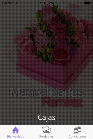 Manualidades Ramírez screenshot 3