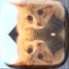 Mirror Reflection Camera – Blend & Clone Pics in Photo Edit.or for Double Exposure Effect.s